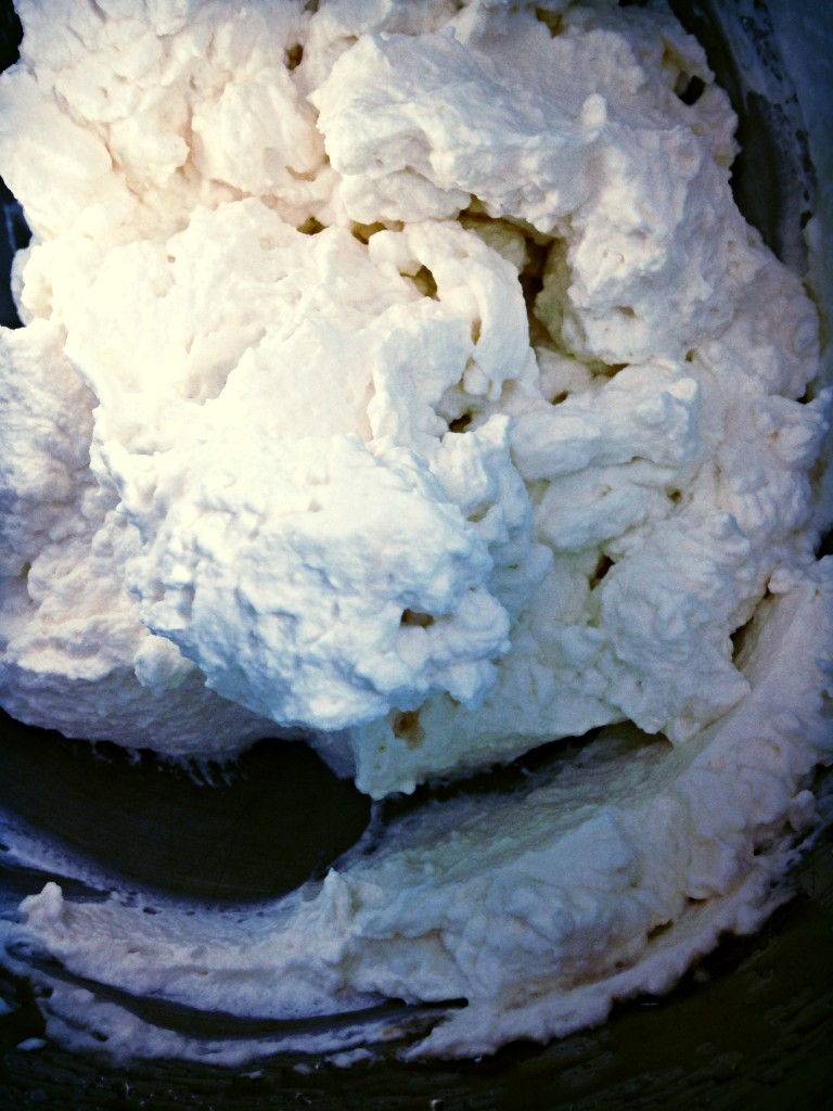 Paleo Whipped Cream