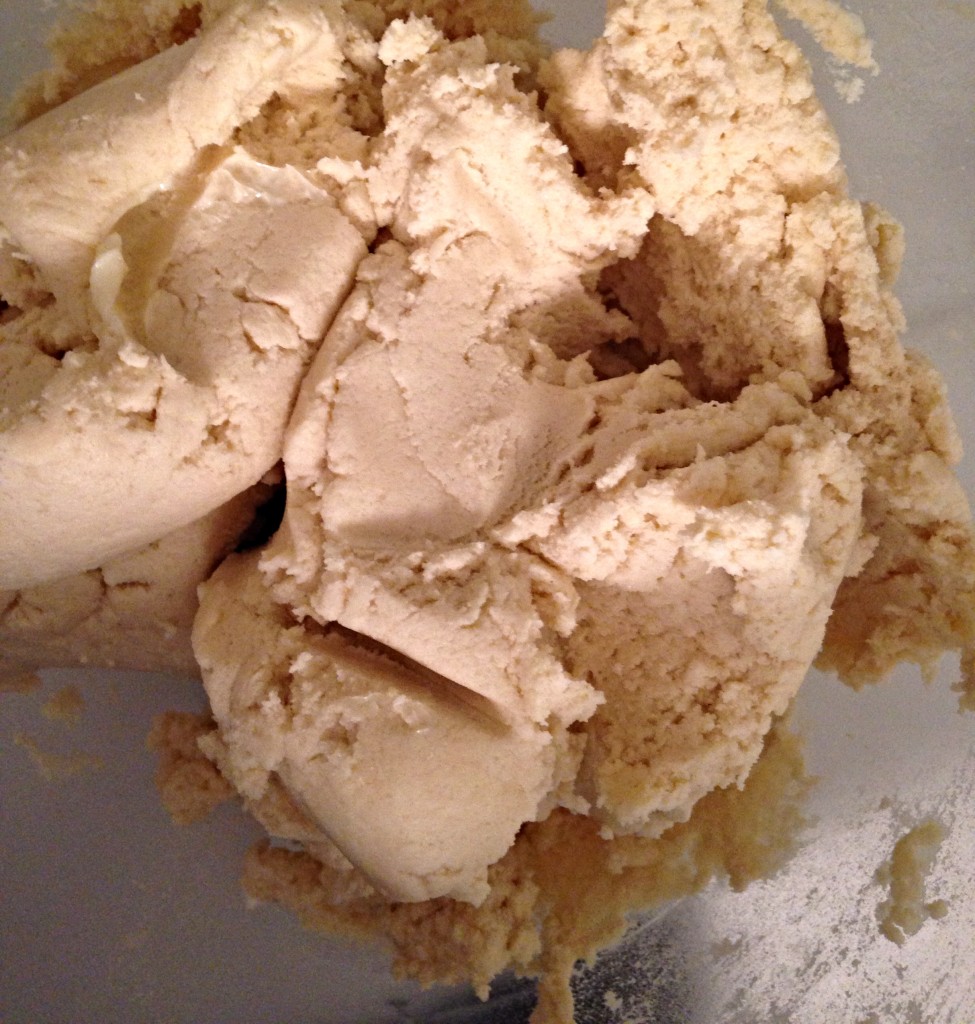 Sugar Cookie Dough 1